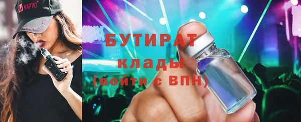 индика Гусев