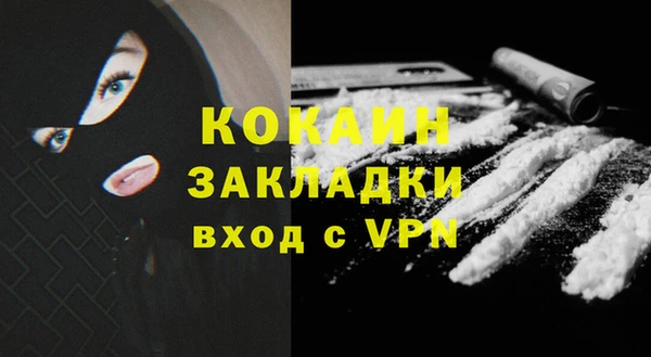 прущие грибы Гусиноозёрск