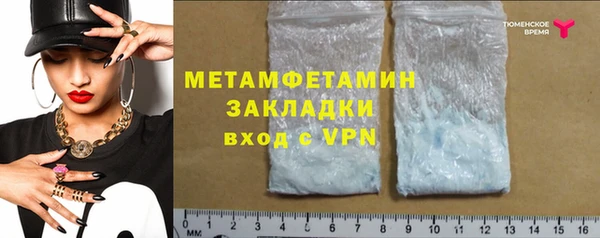 прущие грибы Гусиноозёрск