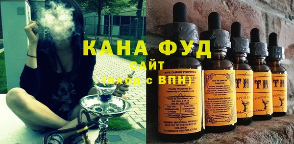 индика Гусев