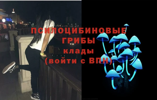 индика Гусев