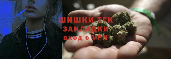 индика Гусев
