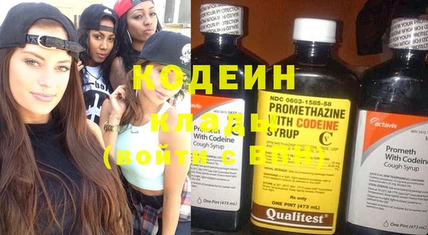 индика Гусев