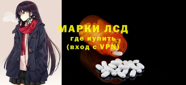 индика Гусев
