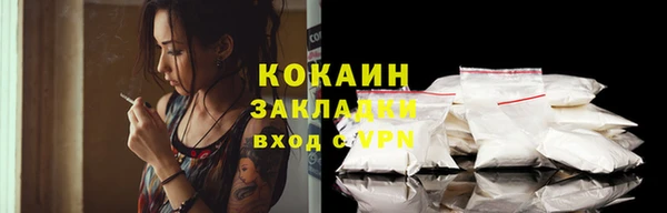 прущие грибы Гусиноозёрск