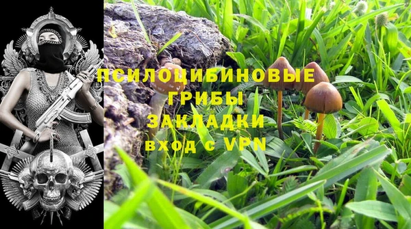 экстази Гусь-Хрустальный