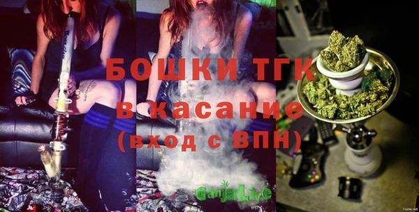 экстази Гусь-Хрустальный