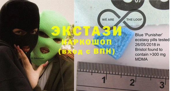 индика Гусев